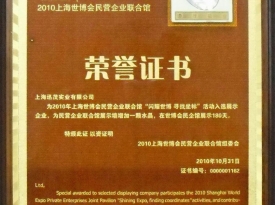 上海世博荣誉奖牌