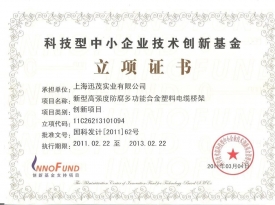 江苏国家科技型企业基金立项证书