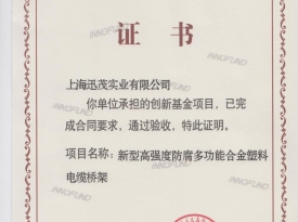 上海国家科技型企业验收通过证书
